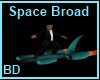 [BD] Space Broad