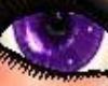 *P* Mystic Purple Eyes