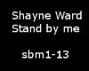 *PA*Shayne Ward