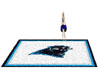 Panthers Rug