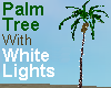 Palm Tree w/White Lights