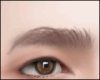 Eyebows  blonde