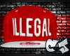 [CJ]illegal Snap-2