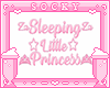 Sleeping Princess Sign