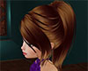 BBG Ponytail Brown