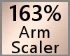 163% Arm Scaler F A