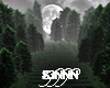 S3N - Forest Fog Night