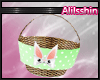 !A! Bunny Basket Mesh