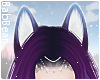 B| Foxy Ears - Galaxy