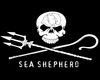 Sea Shepherd Hand Flag