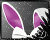 .:D:.BUNNY PINK-RL-BNDL