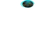 ANIMATED FISH TANK