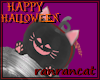 +pumpkin cat black