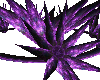 dj flower purple animate