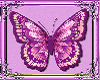 Purple Butterfly Frame