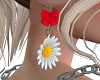 Daisy Earrings