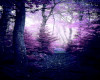 Purple Forest Background