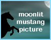 (MR) Moonlit Mustang