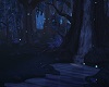 Dark Elven Forest