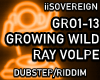 Growing Wild Ray Volpe