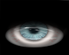 it comes with eyes
