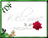 ~MF~Welcome redrose