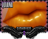 ✠Q| Squash 💋