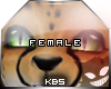 KBs K.Cheetah Eyes F