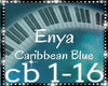 Caribbean Blue+Delag