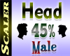 Head Resizer 45%