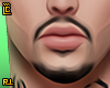r. My  Beard
