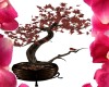 Shanghi Potted Tree