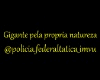 Policia Federal