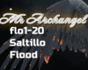 Saltillo-Flood