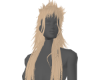 lonja