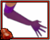 *C Gloves Nylon Purple