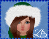 *ZB*Winter Hat+Hair Gree