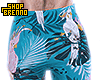 ! B. Short Enjoy Beach