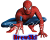 SpiderMan Drewski Stickr