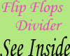 T76~Flip Flops Divider