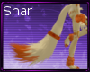 Fall Furry Tail