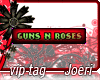j| Guns N Roses