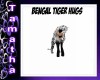 bengal tiger hugs