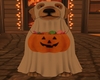 Halloween Dog
