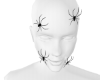 face spiders