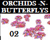 ORCHIDS N BUTTERFLYS 02