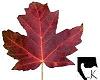 Maple Leaf