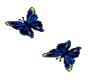 butterfly animated2