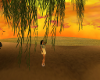 Memories in the Sun