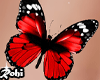 Belly Butterfly Red